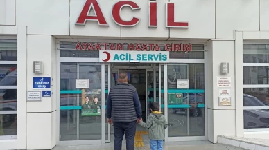 Başıboş köpeklerin saldırısına uğrayan Baturalp, yaralandı