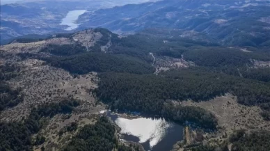 Ankara'da ormanlık alanlara giriş yasağı