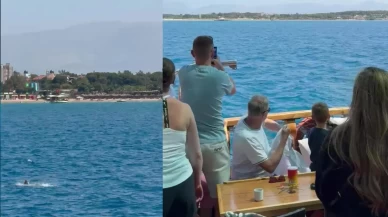 Side açıklarında Akdeniz foku görüntülendi, turistler hayretler içinde izledi