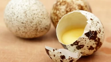 Püf Noktalarıyla Lezzetli Bıldırcın Yumurtası Tarifleri