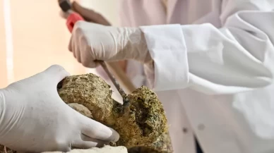 Gemi batığında 1100 yıllık kapağı açılmamış amfora bulundu