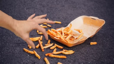 Yere Düşen Yiyecek Gerçekten Güvenli mi?