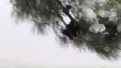 Fırtına vatandaşlara zor anlar yaşattı