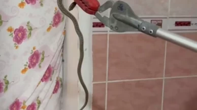 Mersin’de evde gizlenen yılan itfaiye ekiplerinden kaçamadı