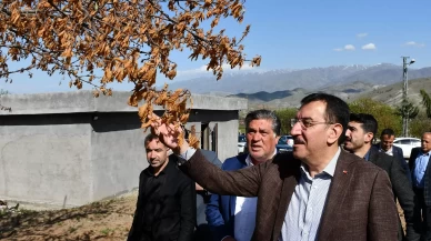 Zirai don mağdurlarına müjde!