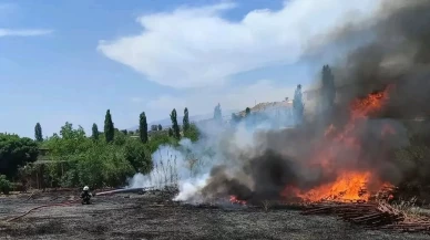 Hatay’da korkutan bahçe yangını