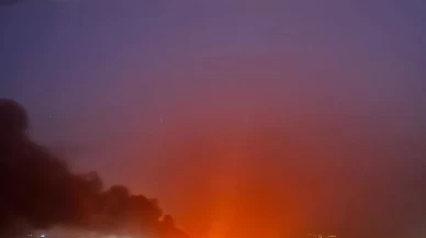 Mersin'deki Göksu Deltası'nda yangın