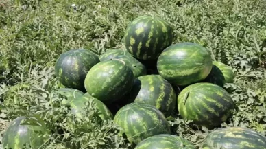 Geçen yıl 4 kez toplamıştı, hedef değişmedi...