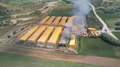 Yumurta üretim tesisindeki yangında binlerce tavuk telef oldu