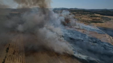 Kula'da ekili arazide yangın çıktı
