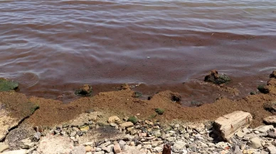 Deniz kırmızıya büründü...