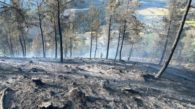 Balıkesir'deki orman yangını söndürüldü