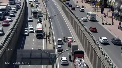 D-100'de kedi seferberliği!