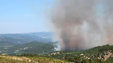Manisa'daki orman yangını devam ediyor: Şüpheli tutuklandı!
