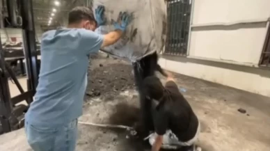 Gürbulak'ta tarihi operasyon