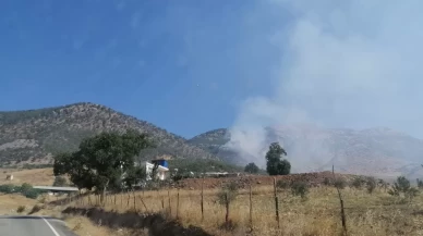Kahramanmaraş'ta çıkan orman yangınına müdahale ediliyor