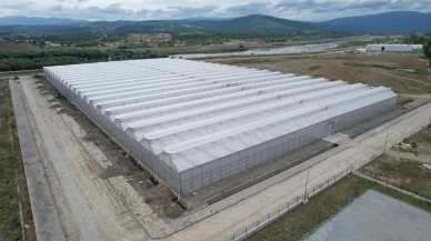 Sera organize tarım bölgesi, ekonomiye 750 milyon lira katkı sağlayaca