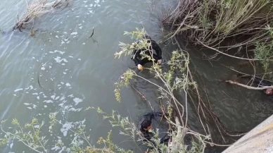 2 kilometre sürüklendi... Aras Nehri’nde ölüm avı