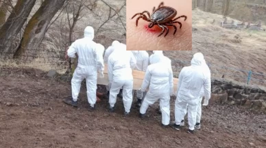 Tunceli, Çankırı, Tokat... Kene hastalığı 3 can daha aldı