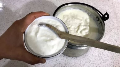 Fermente turşu ve kefir tarifi! Evde doğal yöntemlerle nasıl hazırlanır?