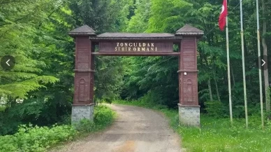 Zonguldak ormanlarda ateş yakılması yasaklandı