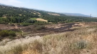 Çan’da karga yangın çıkardı!