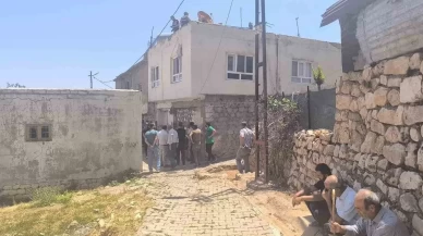 Siirt'te elektrik akımına kapılan yaşlı çift hayatını kaybetti