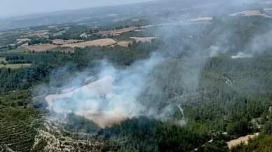 Adana'da orman yangını