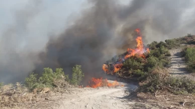 Manisa'nın Kula ilçesinde orman yangını çıktı