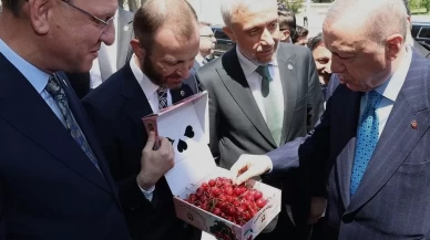 Milletvekillerinden Cumhurbaşkanı Erdoğan’a Kütahya kirazı ikramı