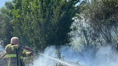 Balıkesir'de tarla yangını: 12 dekar alan kül oldu
