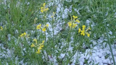 Erzurum ve Ardahan'da dolu ve sağanak etkili oldu