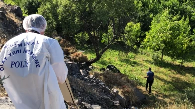 Elazığ’da tüyler ürperten olay! Ağaca asılı halde erkek cesedi bulundu