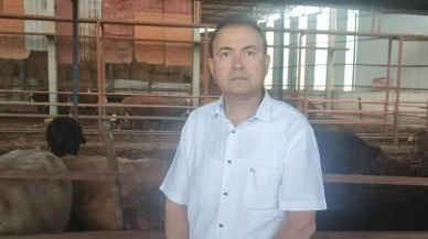 Kurbanlık dananın fotoğrafını çekmek isteyen iş insanı canından oldu