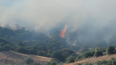 Aydın’da alevlere hava ve kara desteği! Yangın kontrol altına alınamıyor
