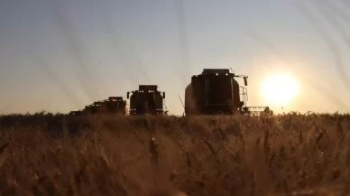 Biçerdöverler tarlaya girdi, buğday hasadı başladı
