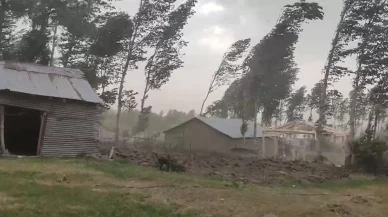 Muş’ta fırtına ağaçları ve elektrik direklerini devirdi