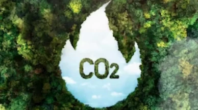 Kozmetik ürünlerde karbon ayak izi azaltmanın yolları