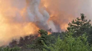Türkiye’nin dört bir yanında yangınlarla mücadele sürüyor!