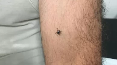 KKKA şüphesiyle gözetim altına alındı