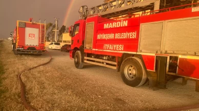 Mardin'de yangın 350 dönüm tarlaya zarar verdi