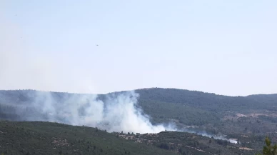 Menteşe'de orman yangını başladı