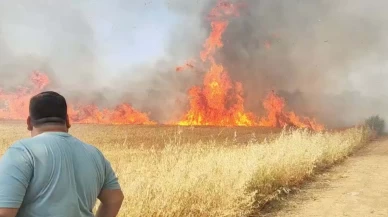 Manisa'da buğday tarlası alev alev yandı