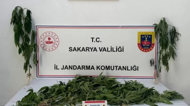 Jandarma uyuşturucuya geçit vermiyor: 3 tutuklama