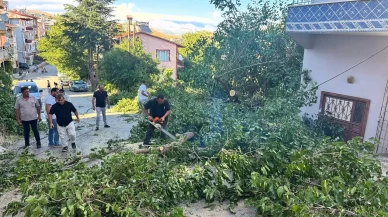 Arapgir’de fırtına ağaçları devirdi