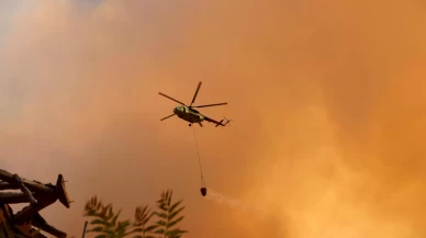 Sakarya'da ormanlık alanda çıkan yangın Bilecik tarafına sıçradı