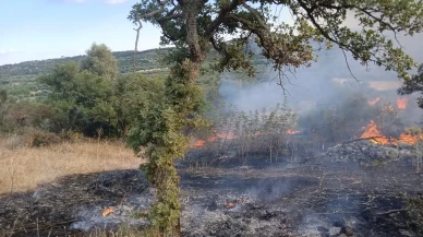 Çanakkale'de makilik alanda çıkan yangın söndürüldü
