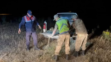 Kaçak avlanan 1,5 ton inci kefali suya geri bırakıldı