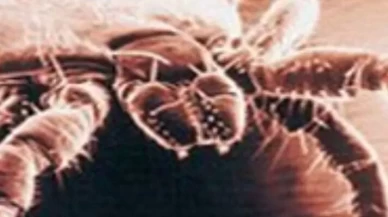 Tüm Türkiye'yi rahatlata kavuşturacak hamle...