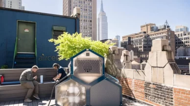 Havadan benzin üreten teknoloji!